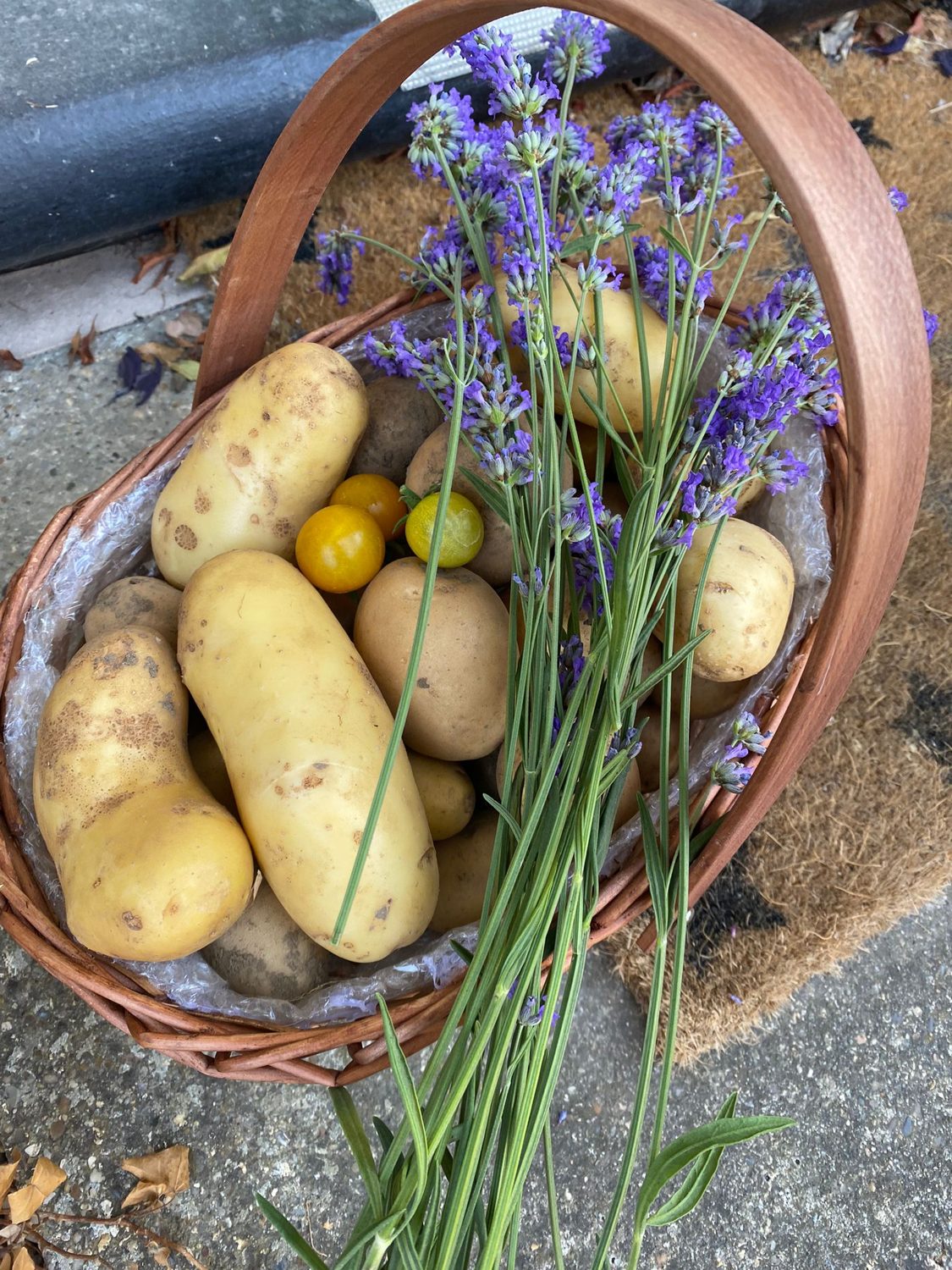 Potatoes and lavender