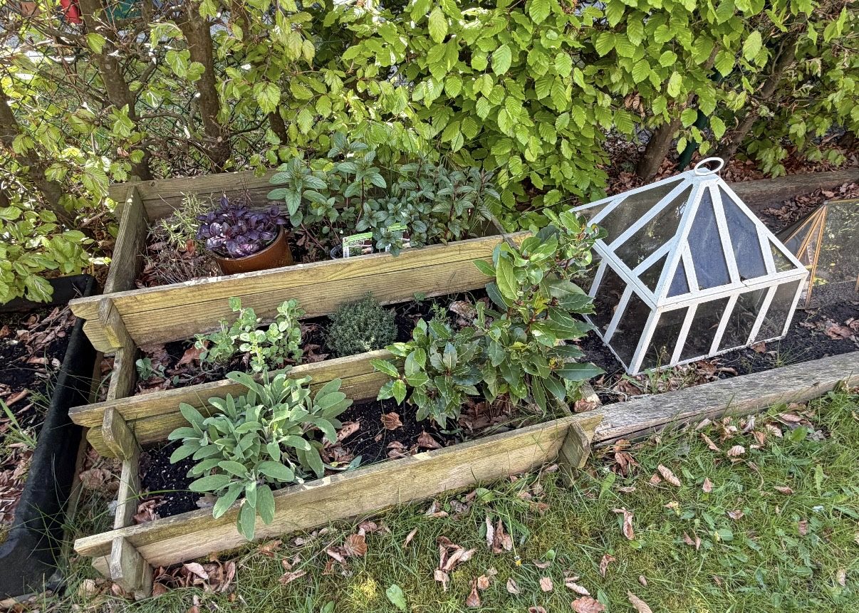 Raised beds