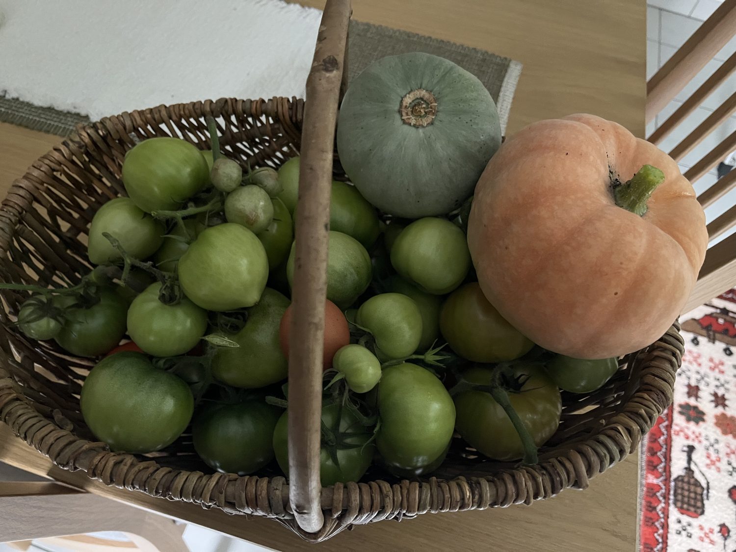 Tomatoes and pumpkins